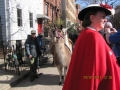 llamas-join-the-parade-22